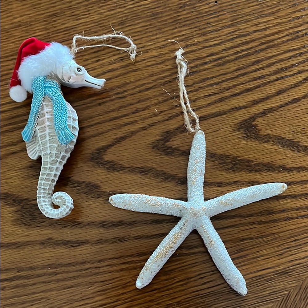 Pier 1 Seahorse and Starfish Ornament Set